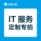 IT服务（IT服务定制类）