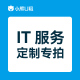 IT服务（IT服务定制类）
